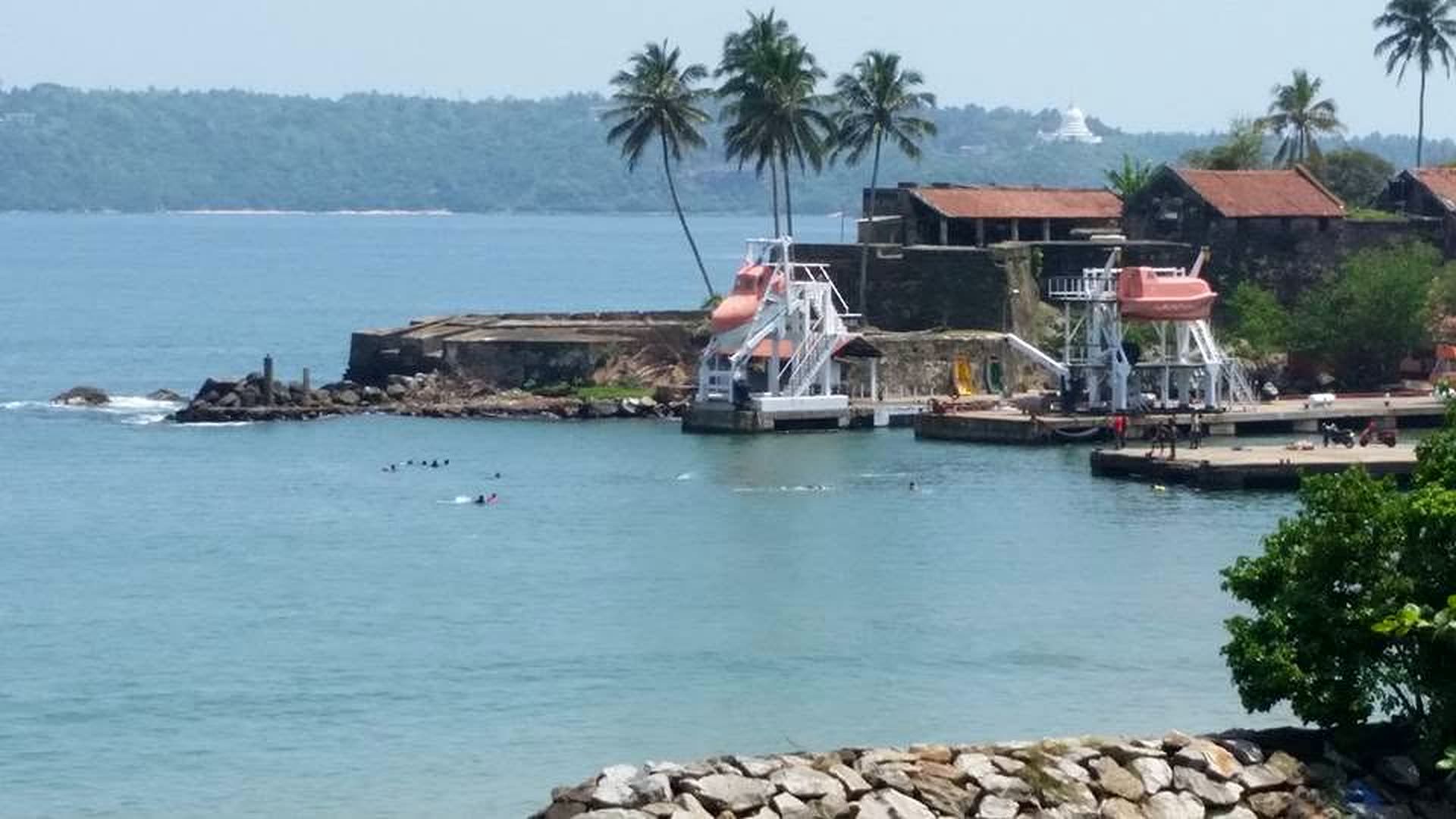 Galle harbour with palm trees